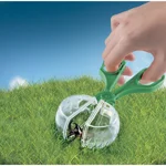 geopop-il-mondo-degli-insetti