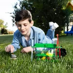 geopop-il-mondo-degli-insetti