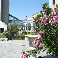 Il giardino interno alla Facoltà di Architettura di Genova