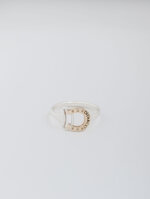 anello-pegaso