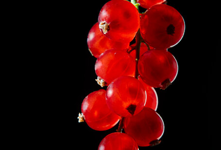 product design photography con luce minimale