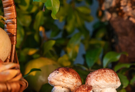 product design photography con luce minimale