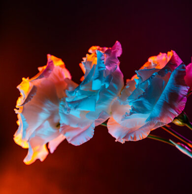 b443e21dda5fca6129a176d4f5d30ea0db90ead7