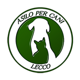 asilo_logo_small