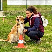 Educazione Cinofila e Recupero Comportamentale Cani Lecco