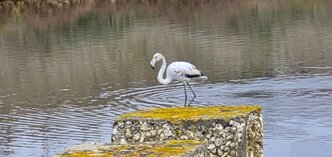 20260104_141347 20260104_141347