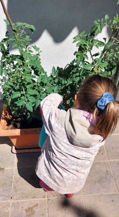 495233468_1149155773678865_8275213434947379180_n.jpeg 495233468_1149155773678865_8275213434947379180_n.jpeg