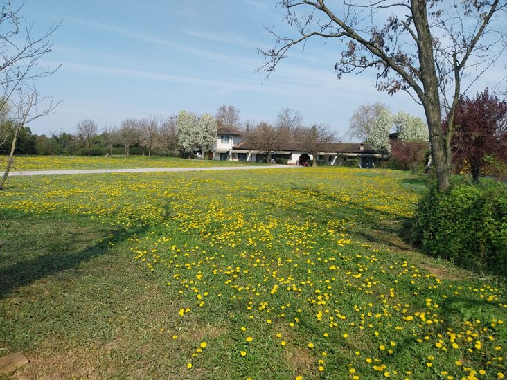 661605220_1407715837822856_2832112192676287005_n.jpeg 661605220_1407715837822856_2832112192676287005_n.jpeg