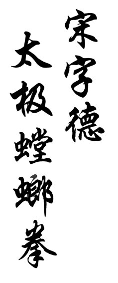 scritta taiji tanglang-photoroom-photoroom.jpeg