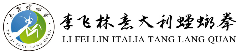 pannello li fei lin italia 200x45.jpeg