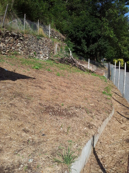 terreno prima dell'intervento