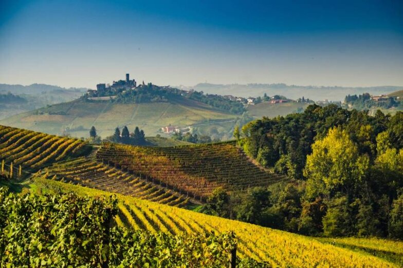 langhe_paesaggio.jpeg