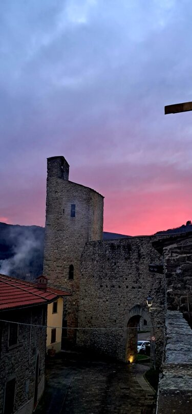 festa in castello 2025.jpeg