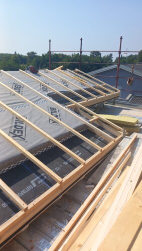 whatsapp image 2024-07-31 at 16.17.48 (1).jpeg