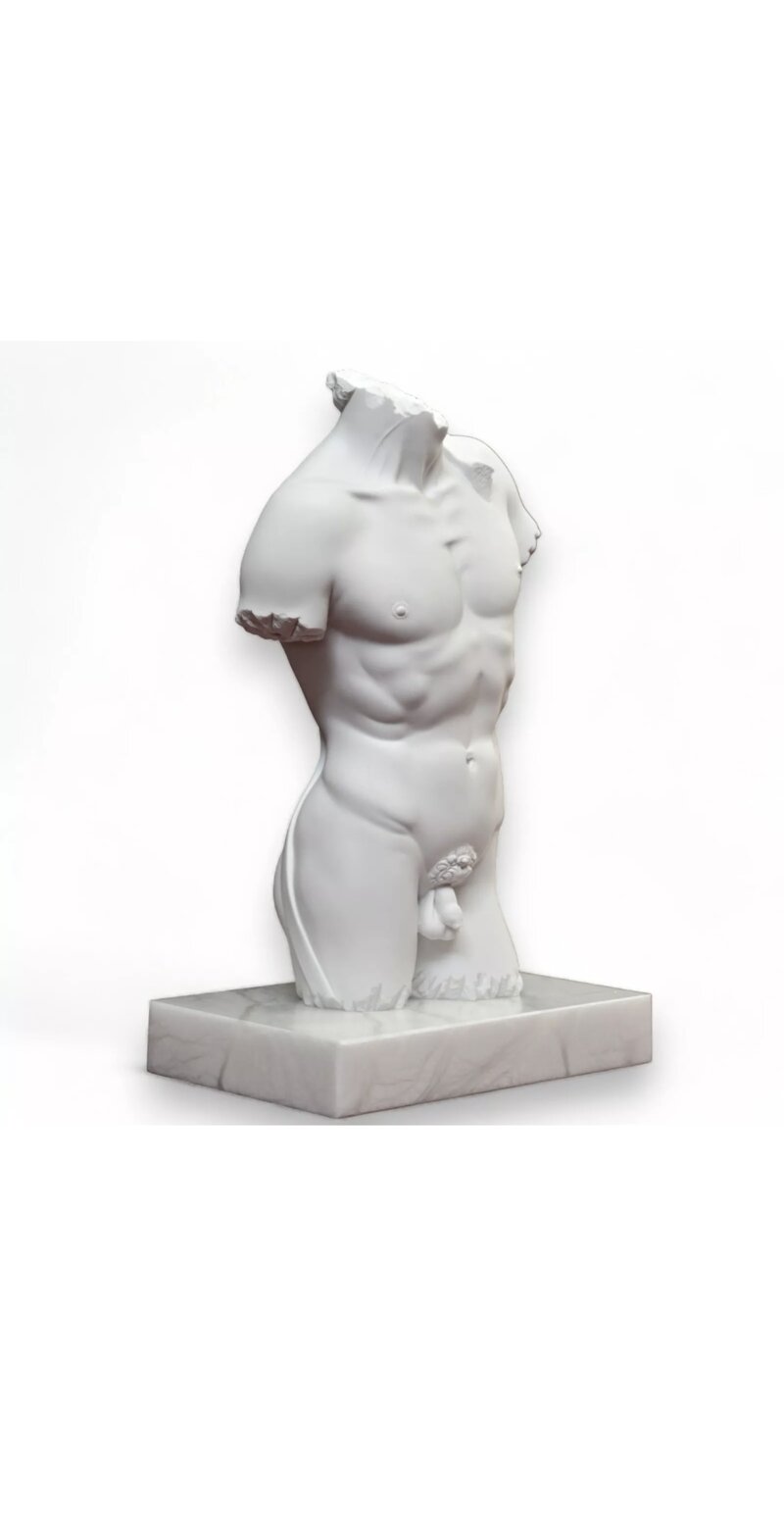 torso-david
