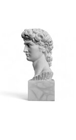 testa-david-di-michelangelo