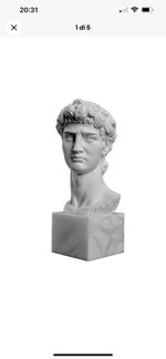 testa-david-di-michelangelo