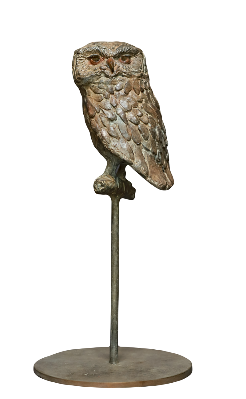 owl