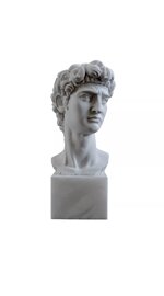 testa-david-di-michelangelo