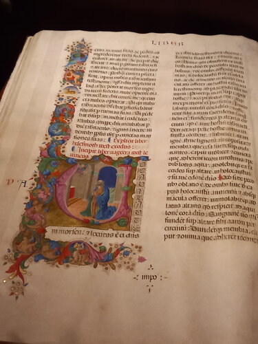 20230101_171004.jpeg 20230101_171004.jpeg