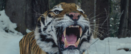 r4_still 220426_rec709_909434.jpeg