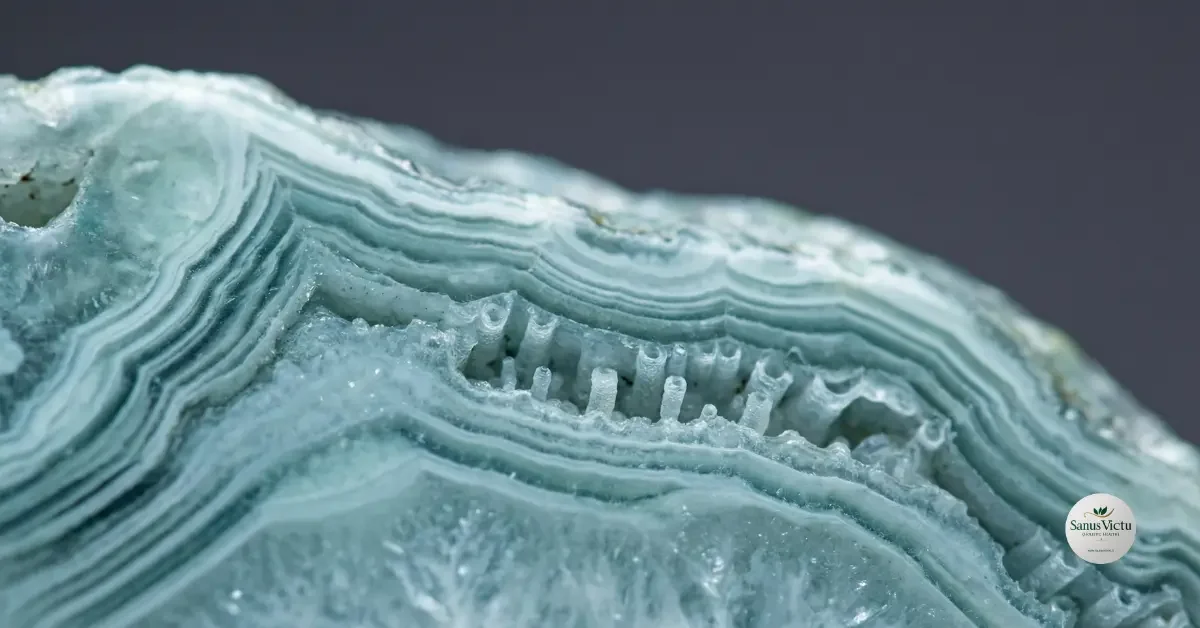 immagine che evoca la densità e l'efficienza di assorbimento dei villi intestinali o la complessità dei dotti biliari