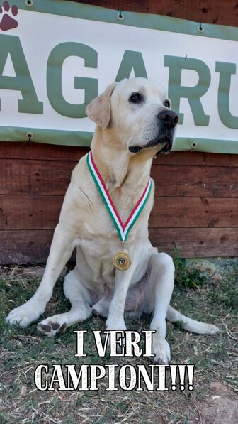 71869e3363b5bc44fd42289e19561dc480c1dc8b 71869e3363b5bc44fd42289e19561dc480c1dc8b