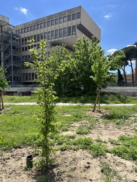 f59b8e8fa351b692025a4059da8b8048621d8102