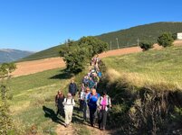 8658c948-7a0c-4220-86b3-1dc4f1999753