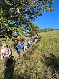 107bb388-5d3a-40d9-b58e-ee2b670a4c81