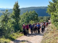 d14e6243-a62e-48a1-8840-61648a907320