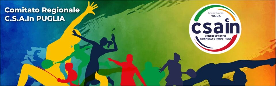 csain sports bis.jpeg