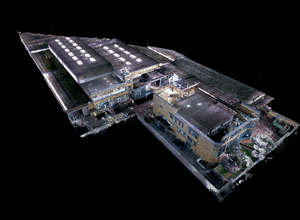 carinola%20acer%20campania