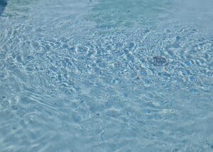 5b6342be-3e5c-4c95-afc9-d7b589f12615.jpeg