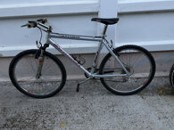 bottecchia.jpeg