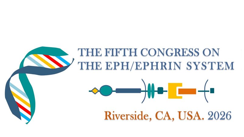 logo congresso 2026.jpeg