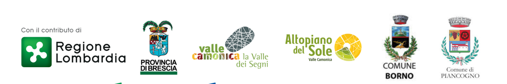 istituzionali