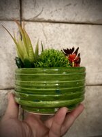 ciotola-decorativa-artigianale-in-ceramica-smeraldo