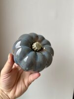 grey-dust-zucca-decorativa-artigianale-in-ceramica
