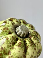 jade-speckle-zucca-decorativa-artigianale-in-ceramica-verde-maculato jade-speckle-zucca-decorativa-artigianale-in-ceramica-verde-maculato