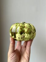 jade-speckle-zucca-decorativa-artigianale-in-ceramica-verde-maculato jade-speckle-zucca-decorativa-artigianale-in-ceramica-verde-maculato