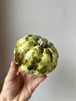 jade-speckle-zucca-decorativa-artigianale-in-ceramica-verde-maculato jade-speckle-zucca-decorativa-artigianale-in-ceramica-verde-maculato