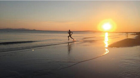 ee7fba3267d936c32cb2c7c61a0e381bcd35fe5e