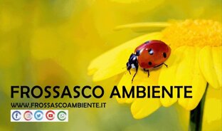 f08bba2a336aad3f53e85b199002ca1e4b09ab65