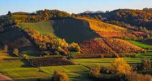 93df0bed1ac9d77b532d407b0ac5601333e63c0d