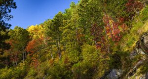 4d2457fe1c59fe3a119a62bf037fc85be678ad2f