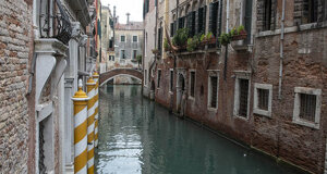dsc_0193.jpeg