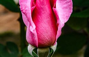 fac1a10329a977051dcf7fda099d09a47e5b0d86