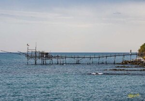 dsc_4475.jpeg