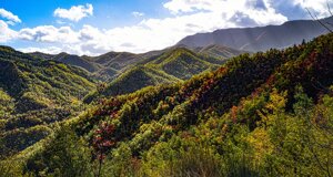 16df390300e9195a0db34d04f27c1dd533d89c7b